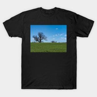 Blue sky, white clouds, winter trees and freshness of the new day. T-Shirt